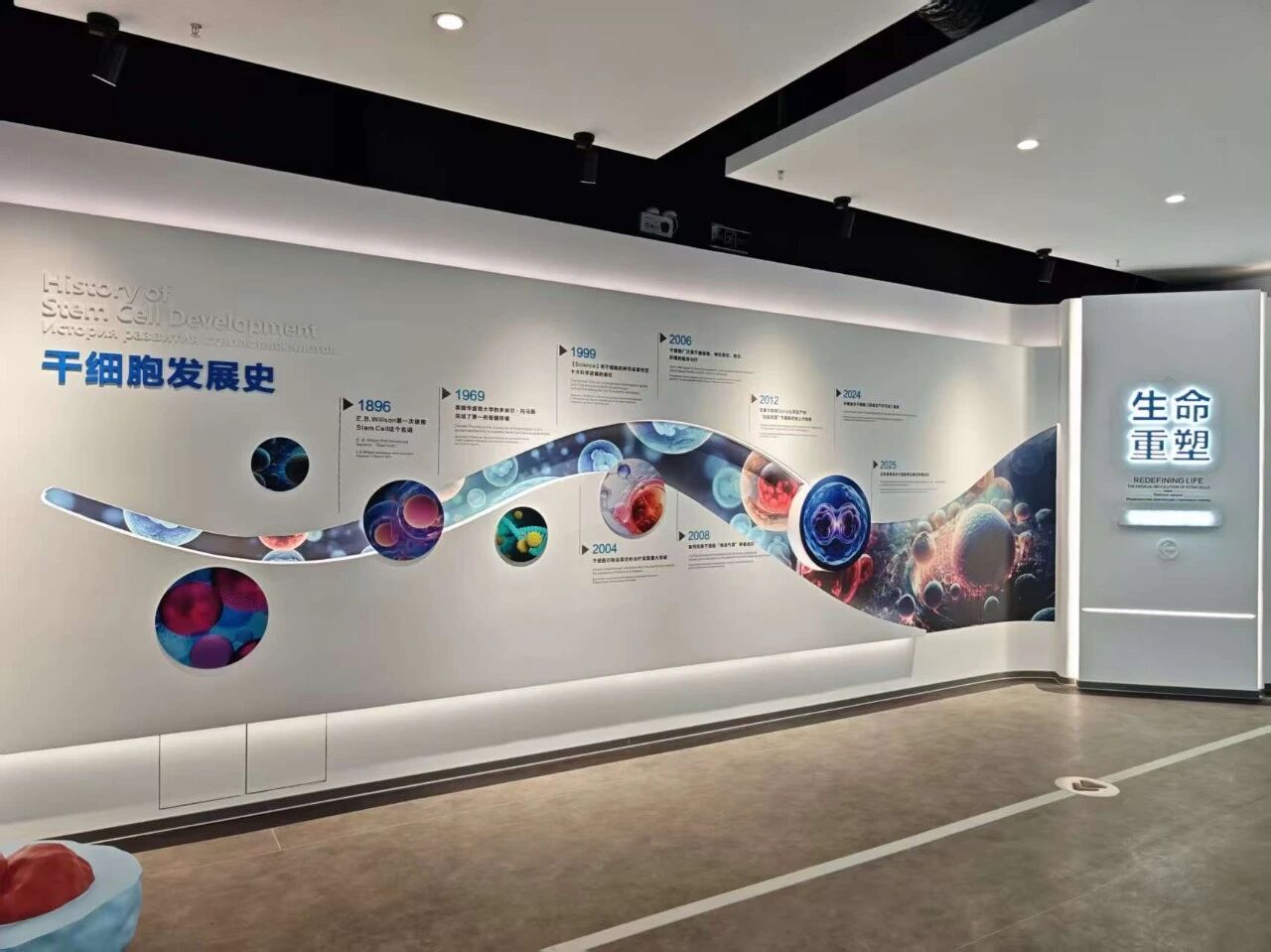 【奋进“十五五” 实干开新局】赋能向西开放 中国南伊细胞生命科技馆书写边疆发展新篇
